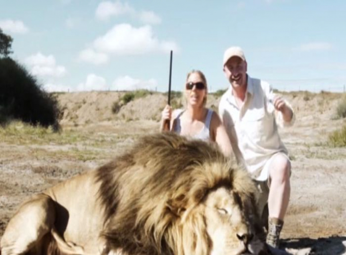 В Африке погибли браконьеры за селфи с мертвым львом (видео)