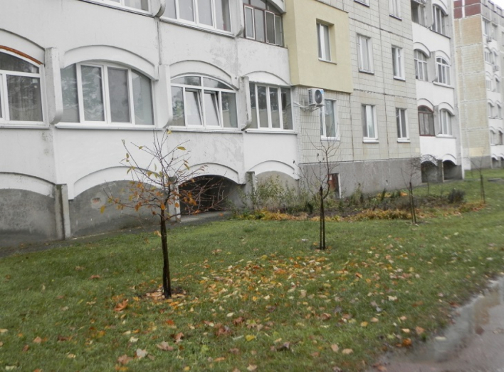 Фоторепортаж: Славутич після першого снігу