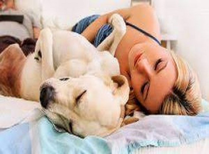 Спите с любимыми собачками и кошечками - это полезно