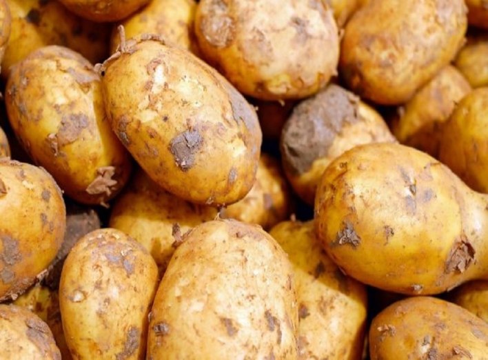 Этой осенью, зимой картофель может стать дефицитным продуктом фото