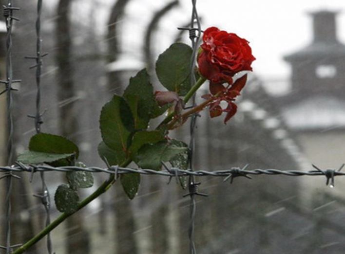Міжнародний день пам’яті жертв Голокосту фото