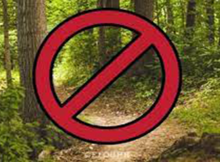 На Чернігівщині заборонили ходити до лісу фото