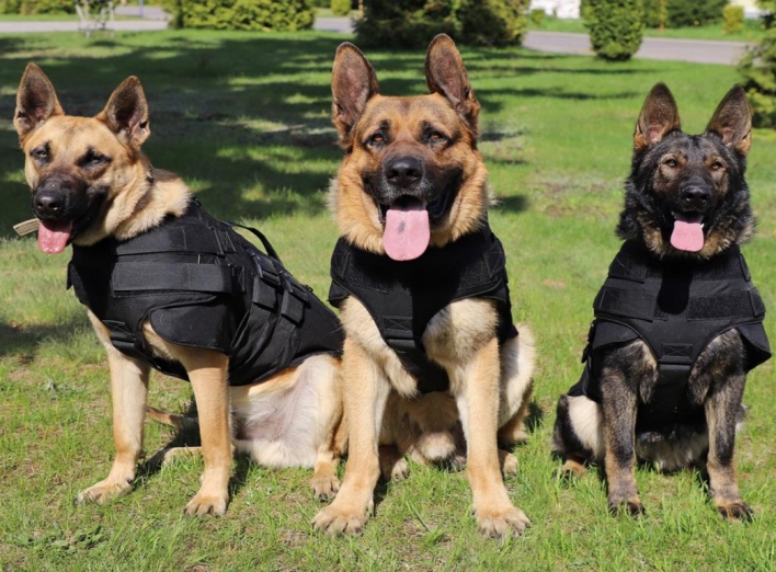 Американські бронежилети для українських службових собак  фото