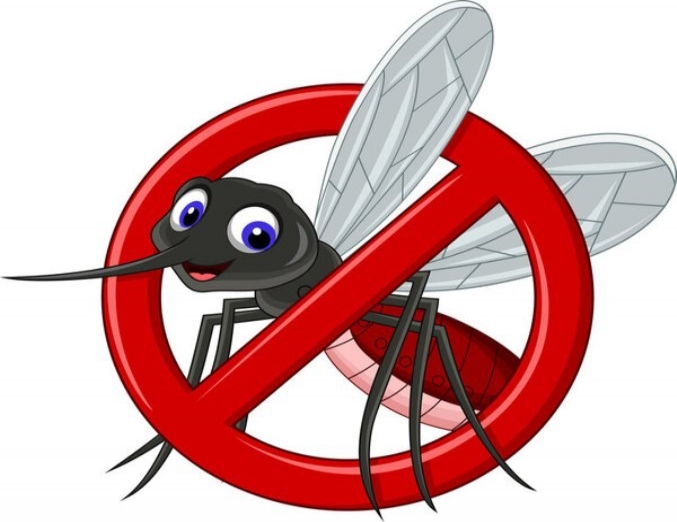 Як захиститися від комарів та мошок?