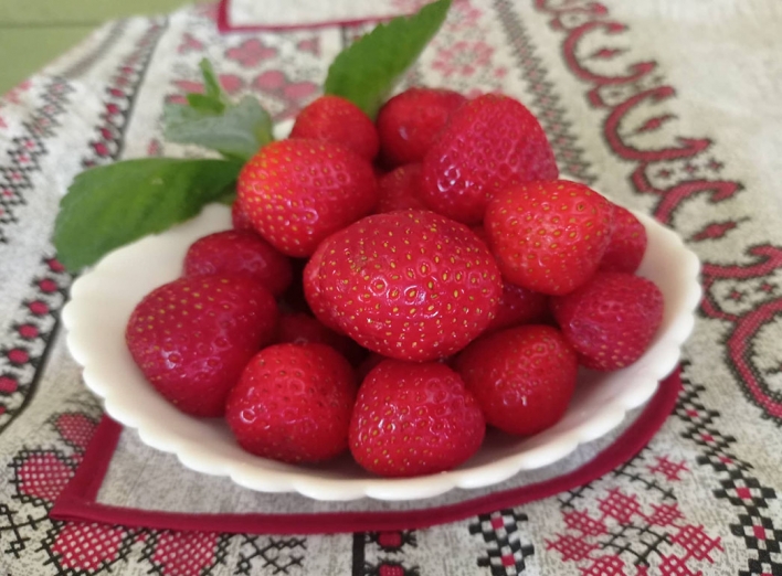 Славутич: сезон полуниці в розпалі – не відмовте собі у задоволенні! фото