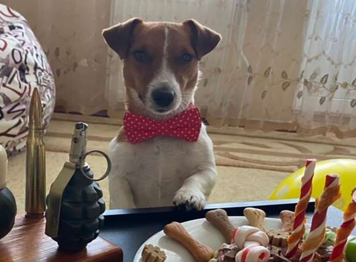 Славнозвісний пес Патрон святкує свій день народження (фото, відео)