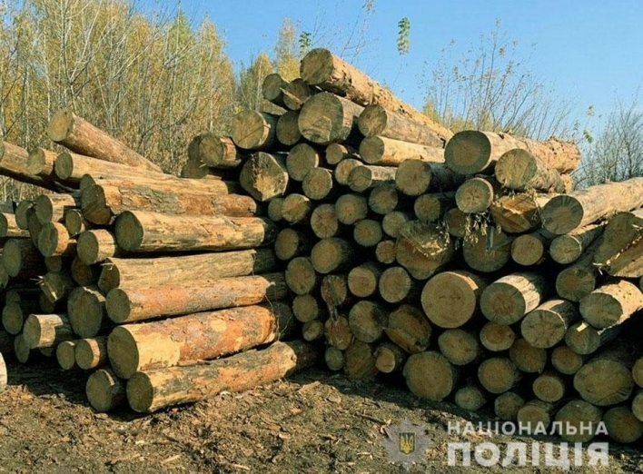 На Чернігівщині викрили злочинну групу, що причетна до незаконної заготівлі деревини фото