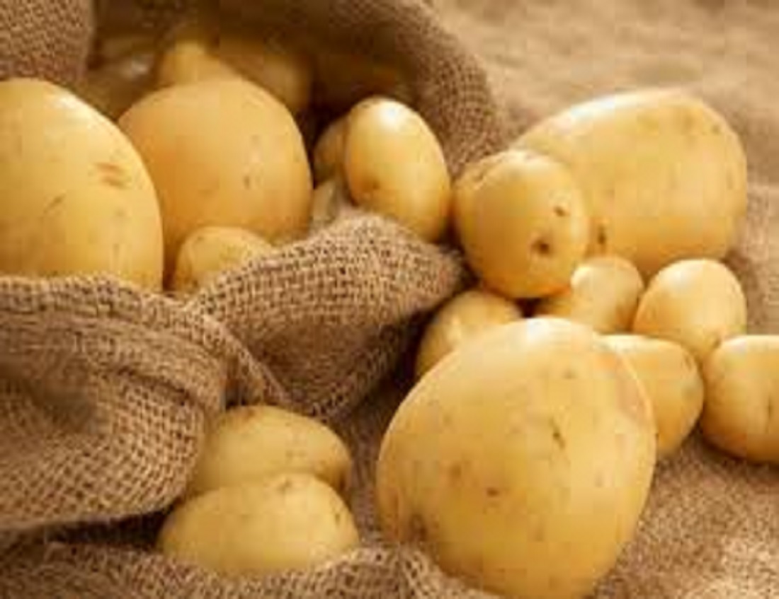 Картопля по 5 - хороший урожай значно понизив ціну