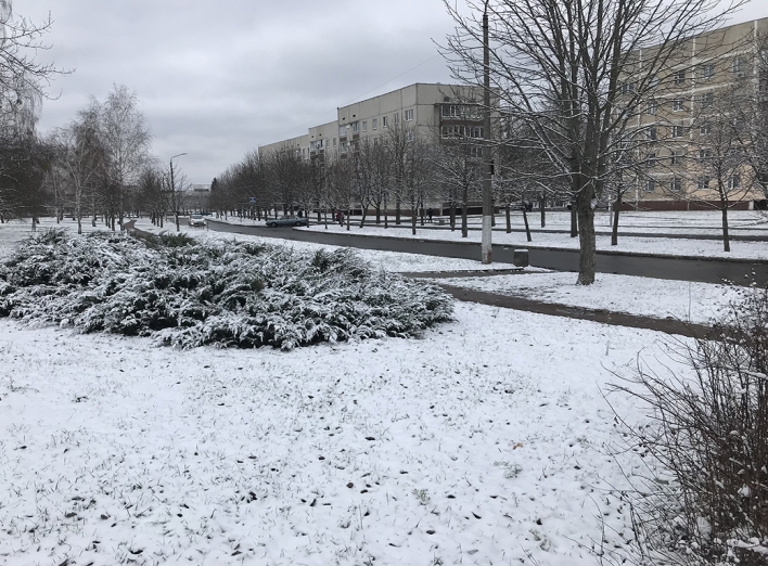 Перший сніг у Славутичі (фото) фото