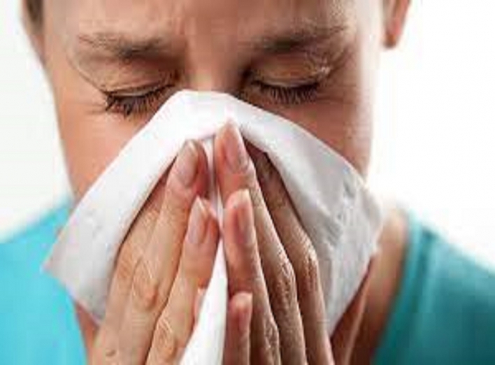 З весни до осені не можу дихати! Як боротися з алергіями та чому вони виникають?