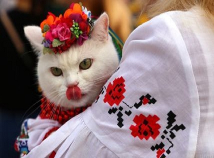 День вишиванки 2023: українське свято, яке відзначають у всьому світі фото