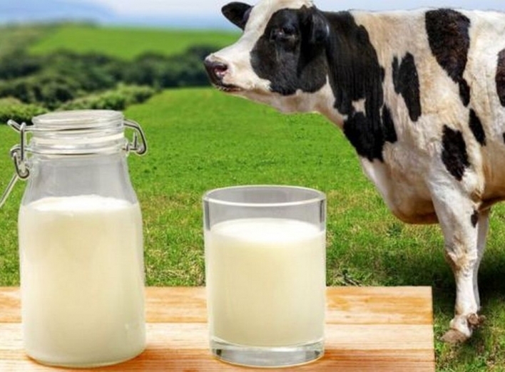 Чи можна перевірити якість молока в домашніх умовах