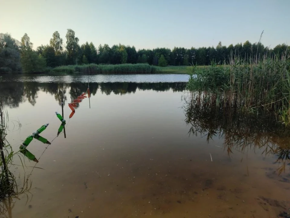 «Пляж за донат» або де відпочити славутичанам фото №5