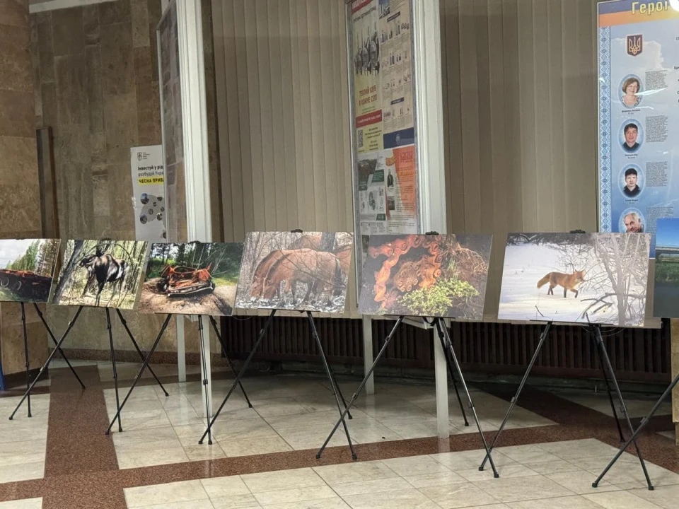 Фотовиставка "Довкілля і війна": Відображення природи ЧАЕС в умовах війни фото №2