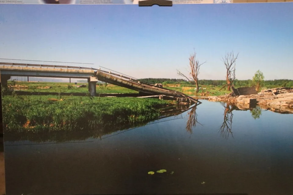 Фотовиставка "Довкілля і війна": Відображення природи ЧАЕС в умовах війни фото №11