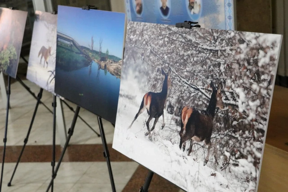 Фотовиставка "Довкілля і війна": Відображення природи ЧАЕС в умовах війни фото №12