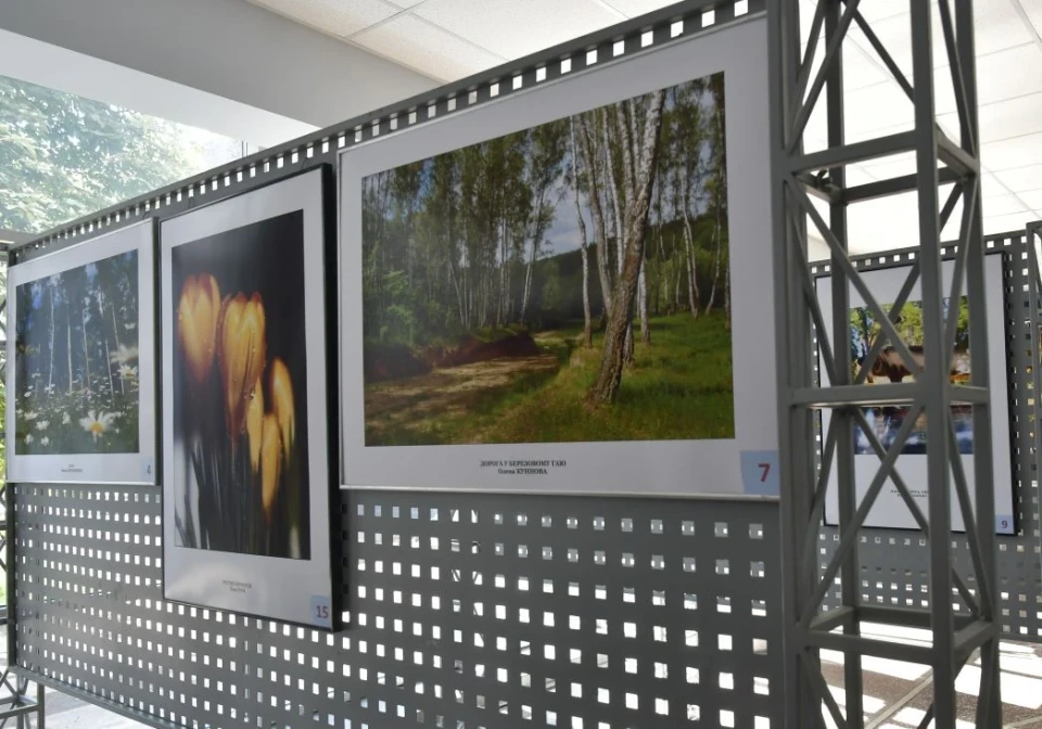 У Чернігівському Палаці культури відкрилася конкурсна фотовиставка "Київський літній фотовернісаж" фото №3