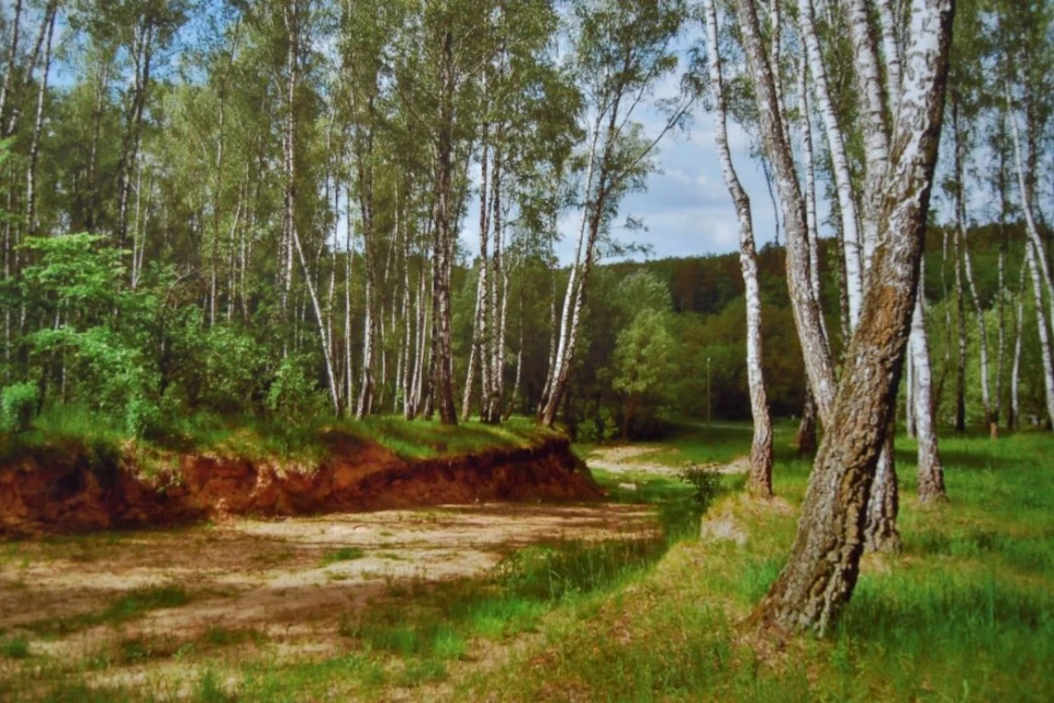 У Чернігівському Палаці культури відкрилася конкурсна фотовиставка "Київський літній фотовернісаж" фото №34