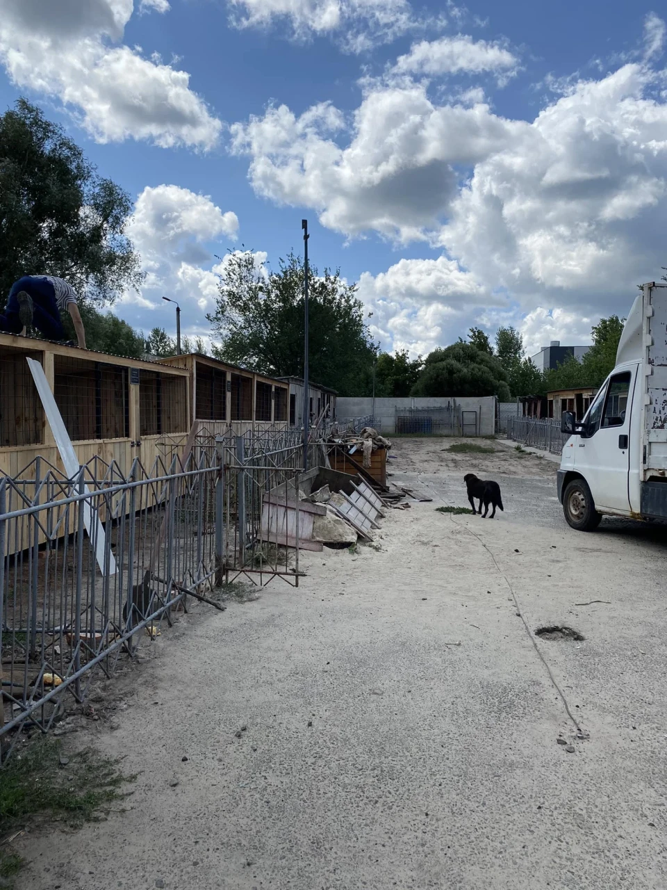 У Славутичі завдяки спонсорам встановили нові вольєри для безпритульних собак фото №4