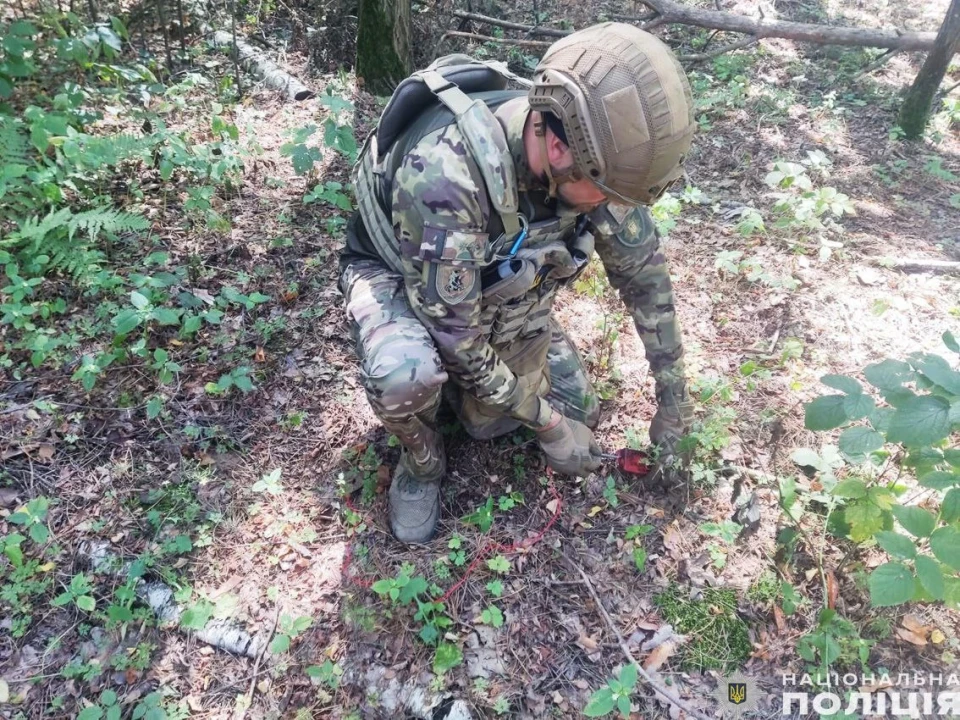 У Чернігівській області вибухотехніки знешкодили бойову частину ворожого БПЛА фото №3