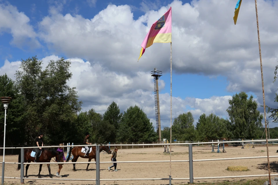 Коні-поліцейські, іпотерапія та закарпатське сіно: всі таємниці кінної бази Славутича фото №5