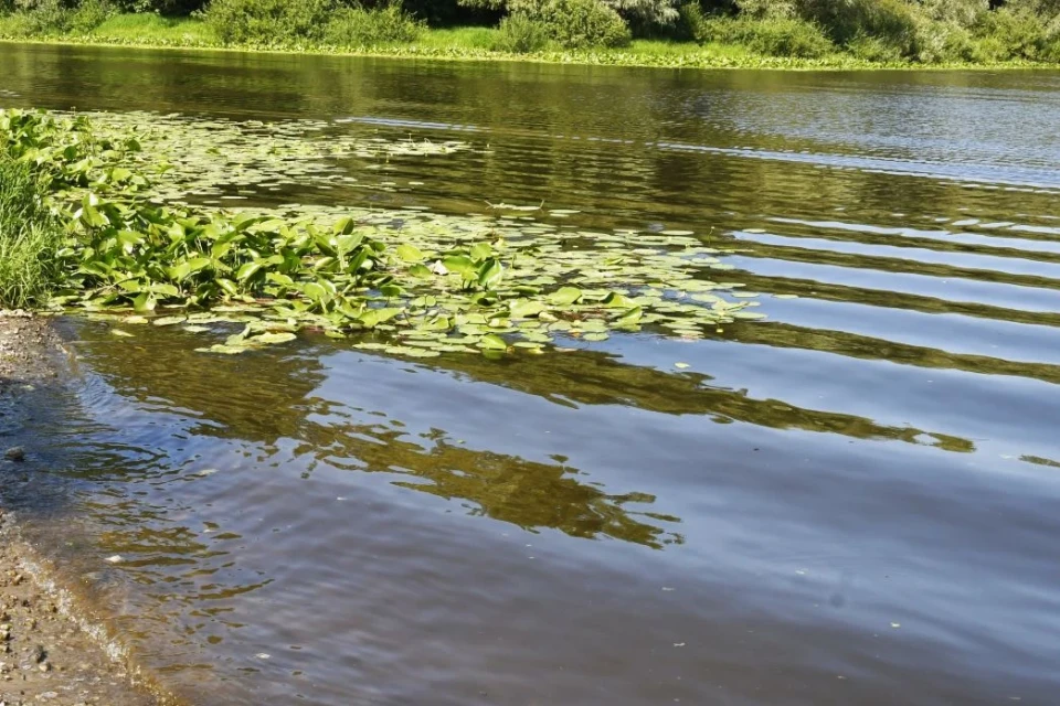 Серпневі дні: казковий відпочинок на водоймах Чернігівщини та Київщини фото №9