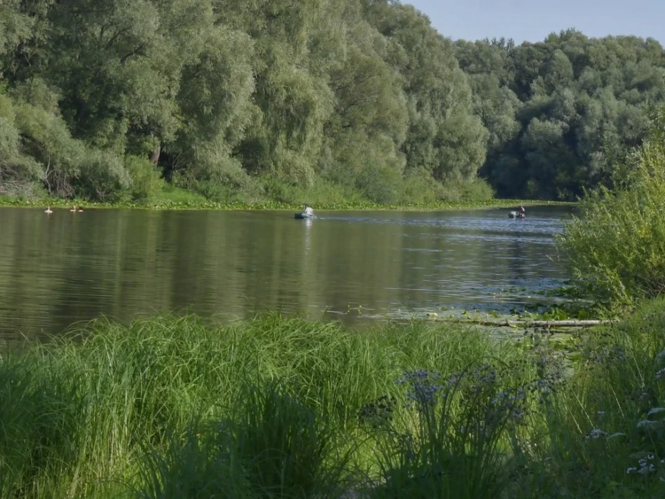 Серпневі дні: казковий відпочинок на водоймах Чернігівщини та Київщини фото №16