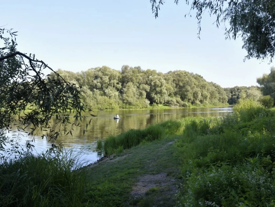 Серпневі дні: казковий відпочинок на водоймах Чернігівщини та Київщини фото №18