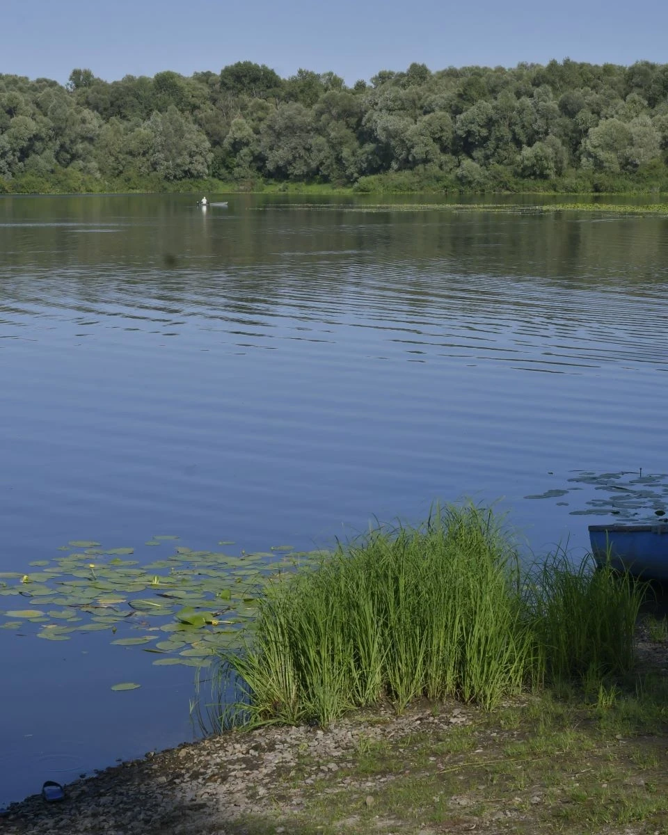 Серпневі дні: казковий відпочинок на водоймах Чернігівщини та Київщини фото №19