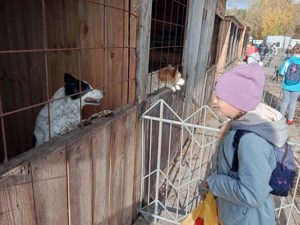 Любецькі ліцеїсти допомагають безпритульним тваринам Славутича (фото) фото №1