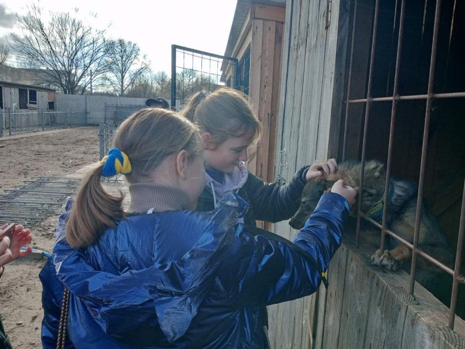 Любецькі ліцеїсти допомагають безпритульним тваринам Славутича (фото) фото №2