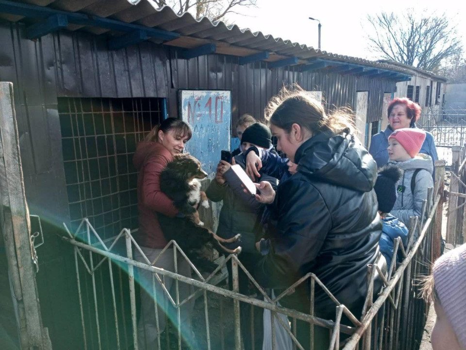 Любецькі ліцеїсти допомагають безпритульним тваринам Славутича (фото) фото №7