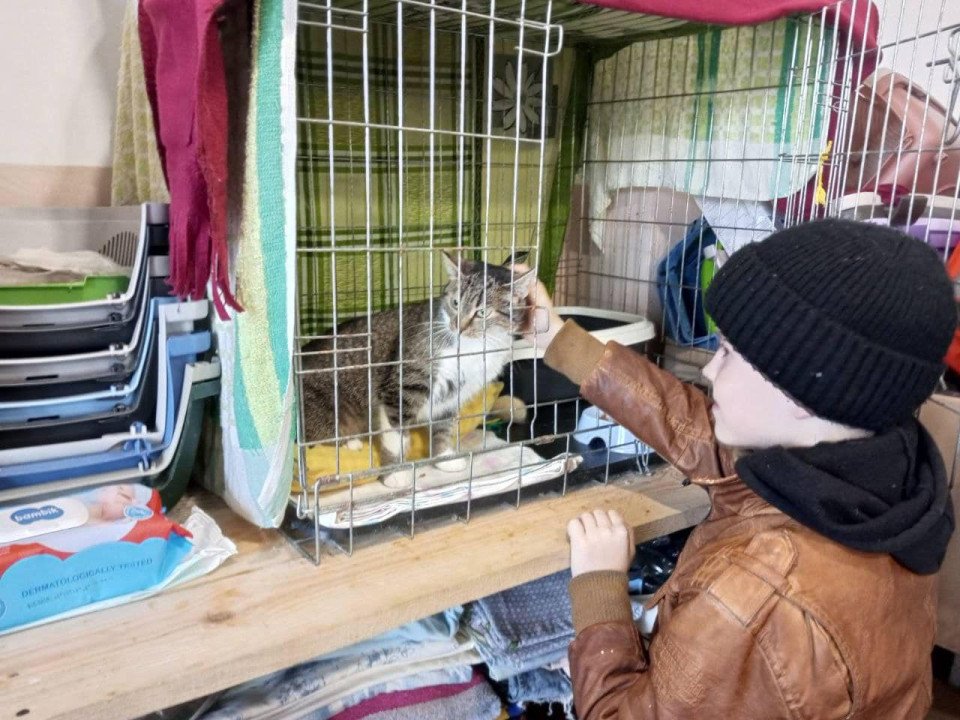 Любецькі ліцеїсти допомагають безпритульним тваринам Славутича (фото) фото №4