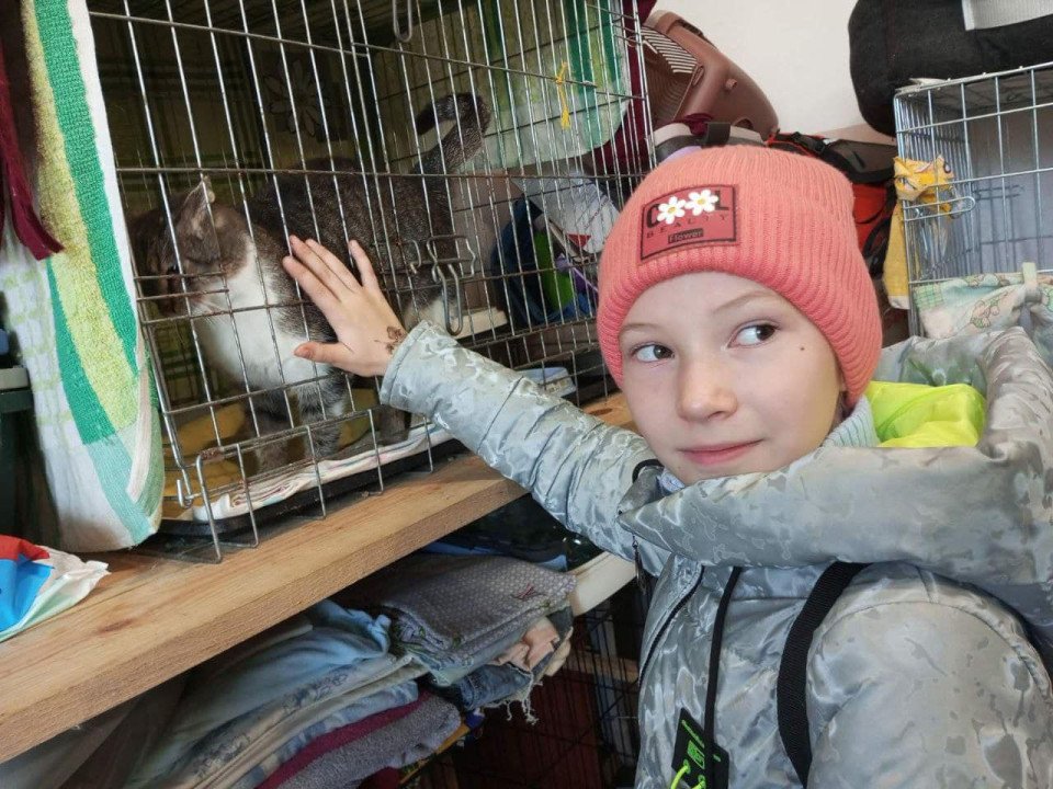 Любецькі ліцеїсти допомагають безпритульним тваринам Славутича (фото) фото №7