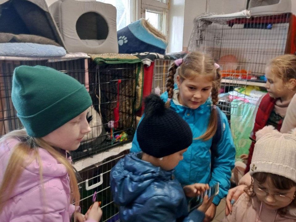 Любецькі ліцеїсти допомагають безпритульним тваринам Славутича (фото) фото №8