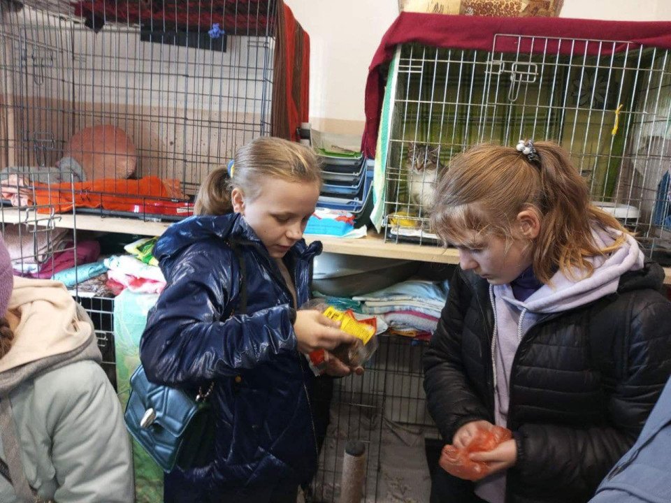 Любецькі ліцеїсти допомагають безпритульним тваринам Славутича (фото) фото №13