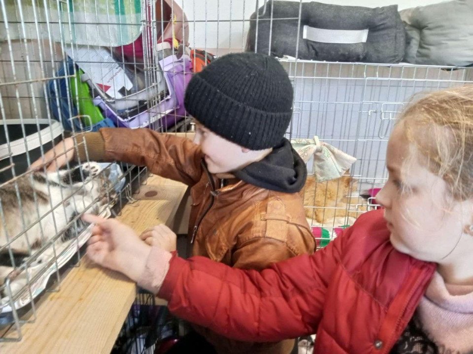 Любецькі ліцеїсти допомагають безпритульним тваринам Славутича (фото) фото №14