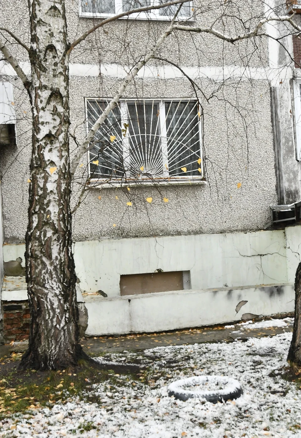 Снігопад у Славутичі: як місто бореться зі слизькими дорогами фото №10