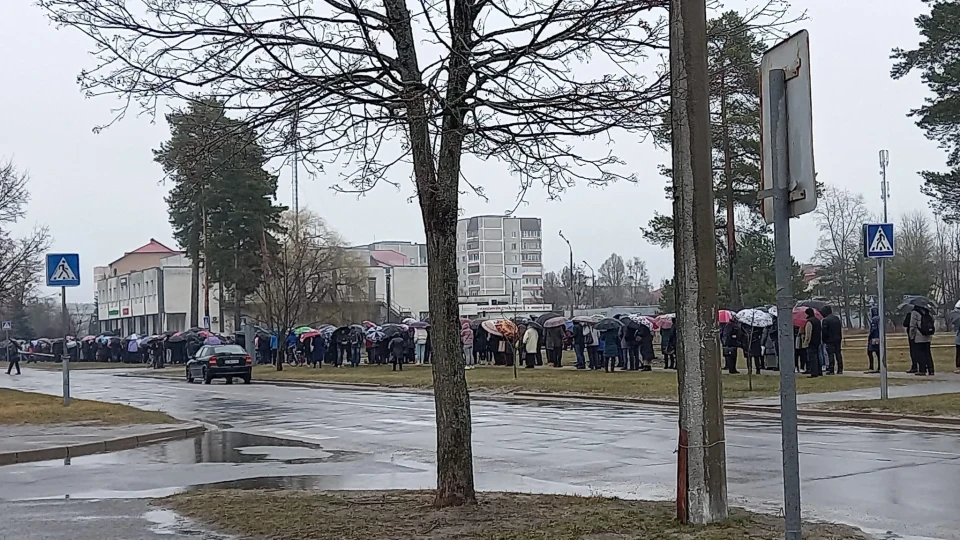 «Непосильна ноша» та люди-герої: як працює притулок для тварин у Славутичі фото №2