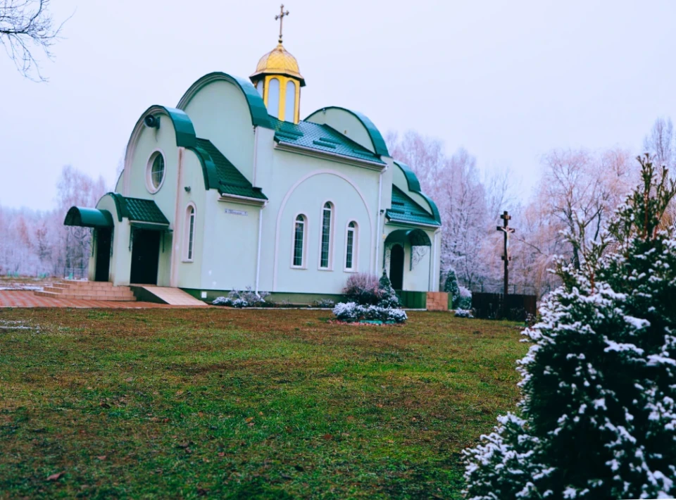 Чарівний білий покрив: сніг у Славутичі «обійняв» гілки дерев фото №6