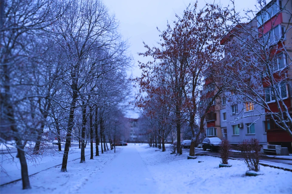 Сніжний ранок у Славутичі: коли зима нарешті згадала про сніг фото №11