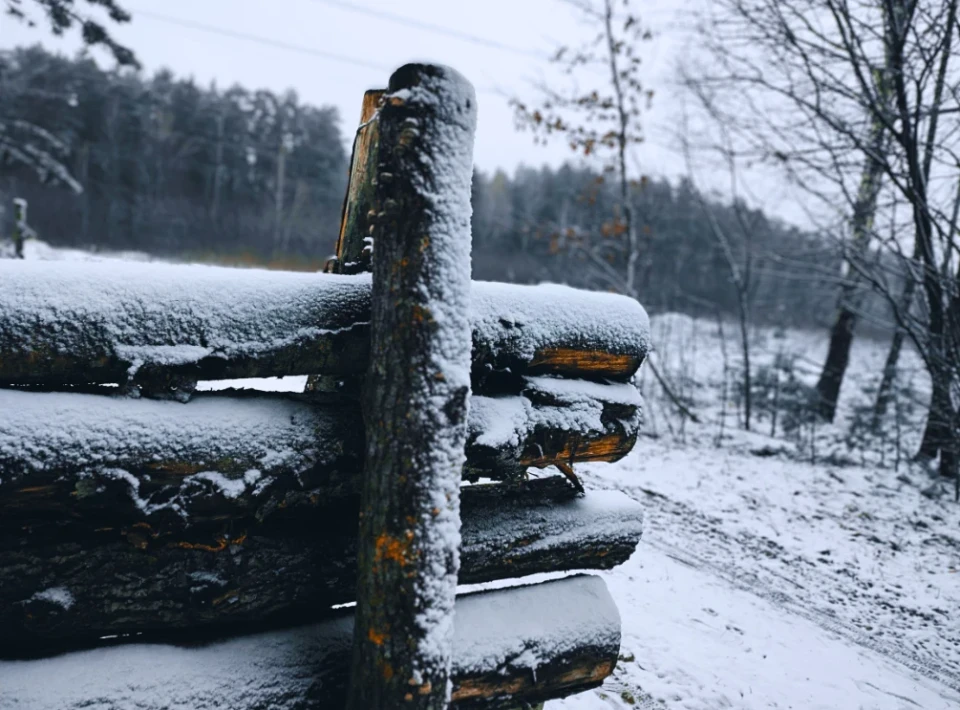 Зловити зиму за хвіст: фоторепортаж із засніженого лісу Славутича фото №3