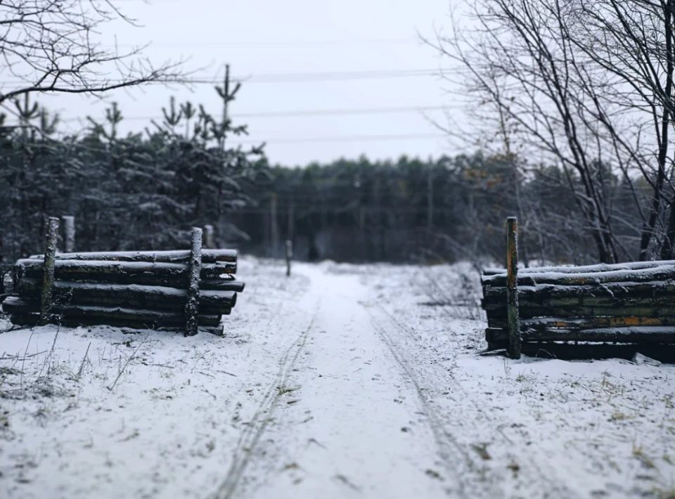 Зловити зиму за хвіст: фоторепортаж із засніженого лісу Славутича фото №4