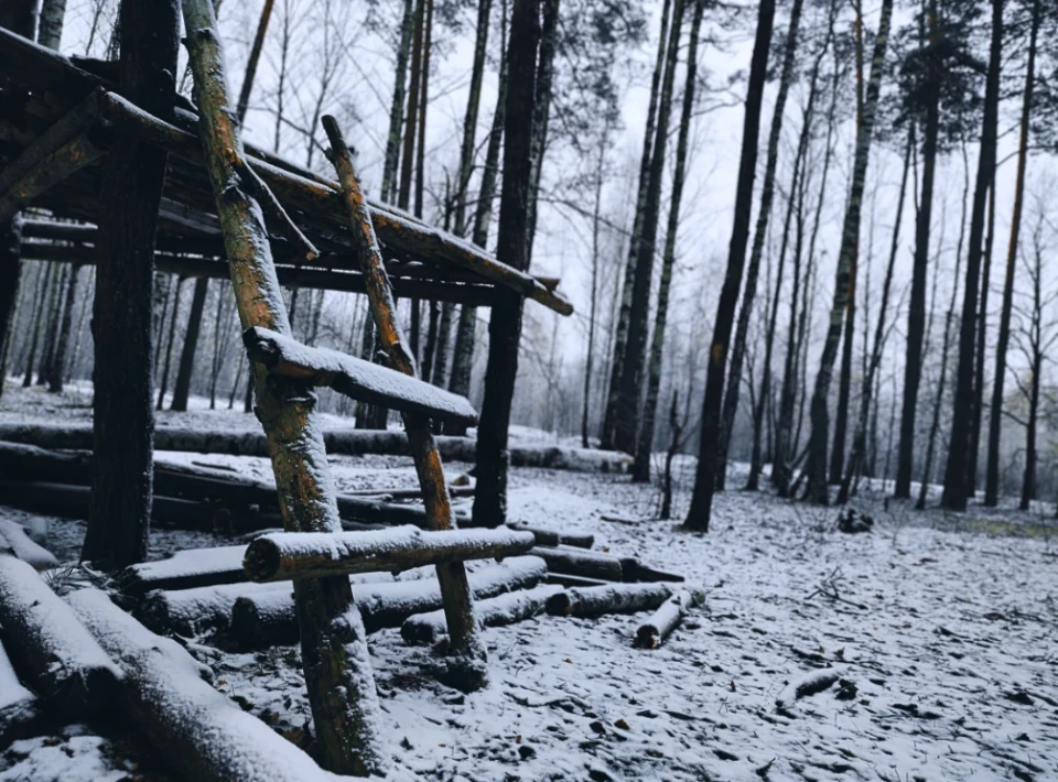 Зловити зиму за хвіст: фоторепортаж із засніженого лісу Славутича фото №6