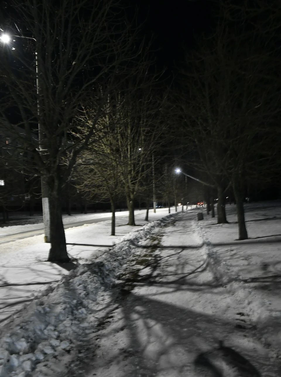 Зимовий вечір у Славутичі (фоторепортаж) фото №12