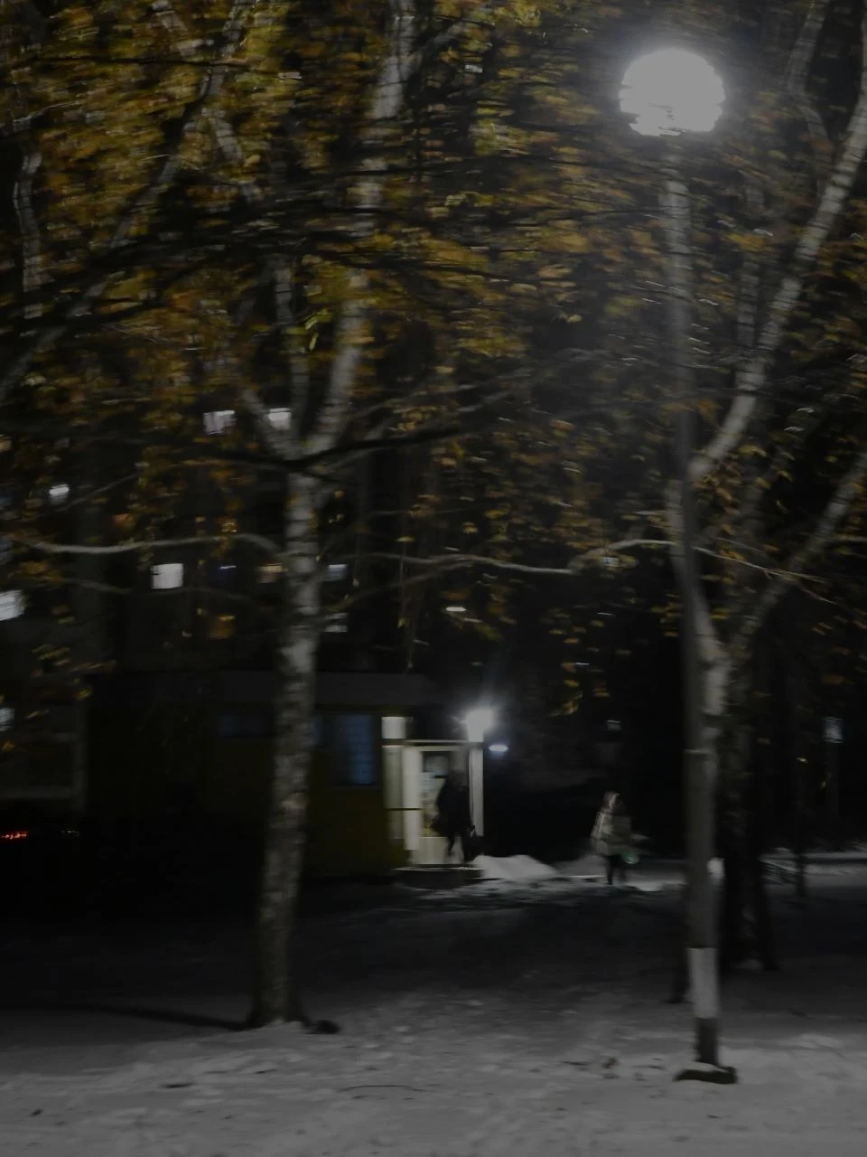 Зимовий вечір у Славутичі (фоторепортаж) фото №13