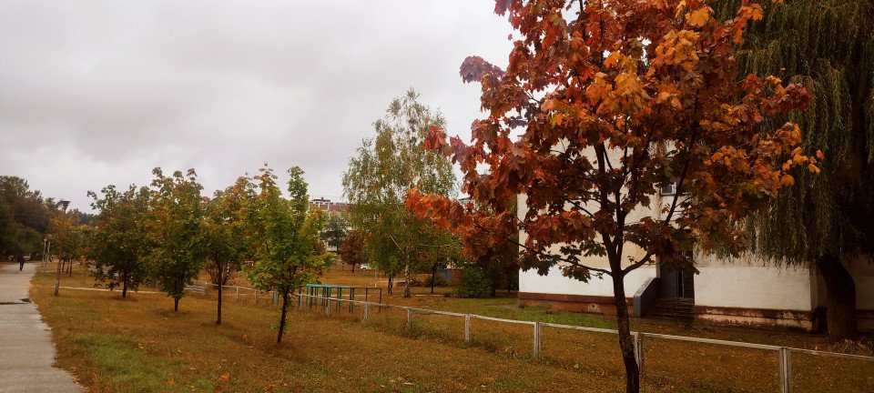 Осінь в Славутичі: Де Знайти Натхнення в Цю Магічну Пору фото №10