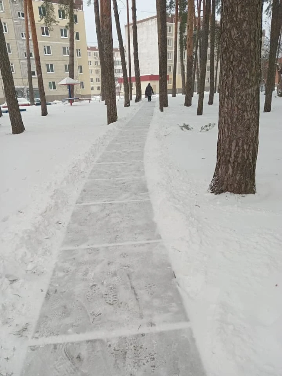 Працюють для нас: Комунальники міста Славутич під час негоди і снігопадів фото №24