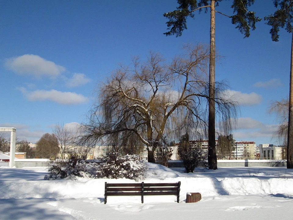 Зимова казка Славутича: Фотозвіт від містян фото №20