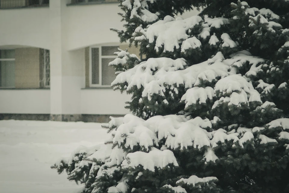 Зимова казка Славутича: Фотозвіт від містян фото №3